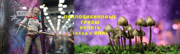 мескалин Инта
