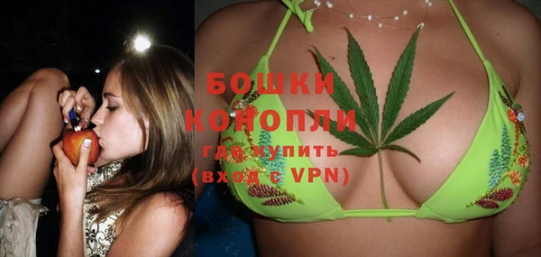 прущие грибы Инсар