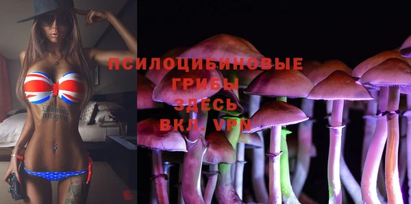 мескалин Инта
