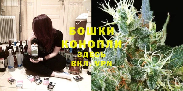 прущие грибы Инсар