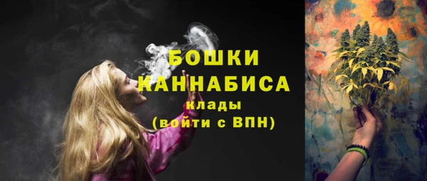 прущие грибы Инсар
