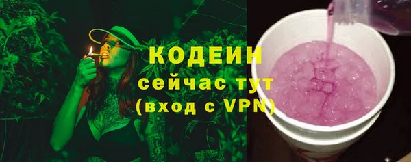 прущие грибы Инсар