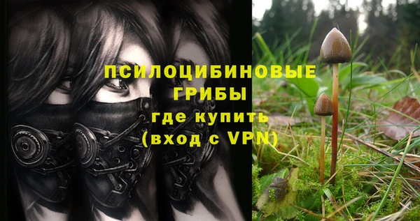 мескалин Инта