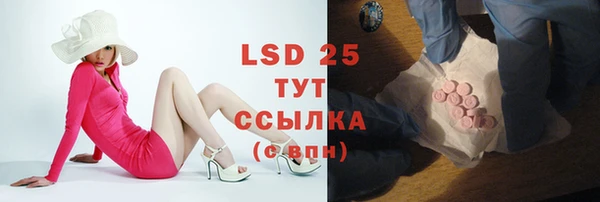 прущие грибы Инсар
