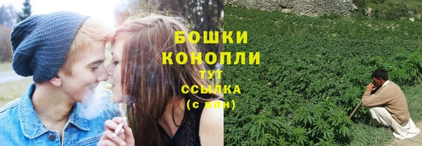 мескалин Инта