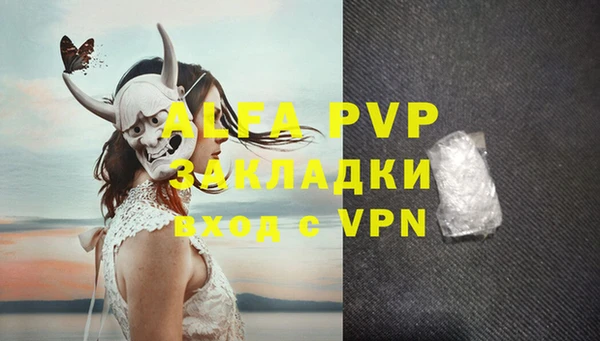 прущие грибы Инсар