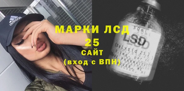 прущие грибы Инсар