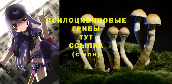 мескалин Инта