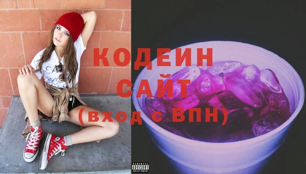 прущие грибы Инсар