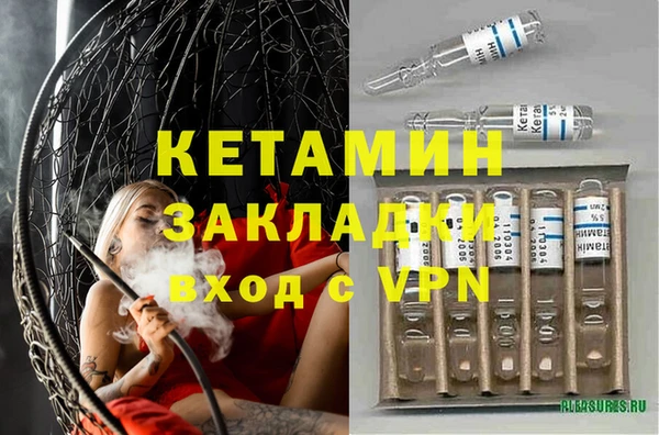 прущие грибы Инсар