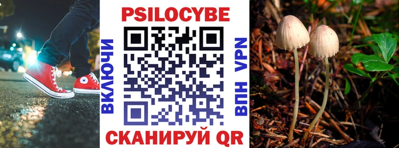 Галлюциногенные грибы Psilocybine cubensis  Ишимбай 